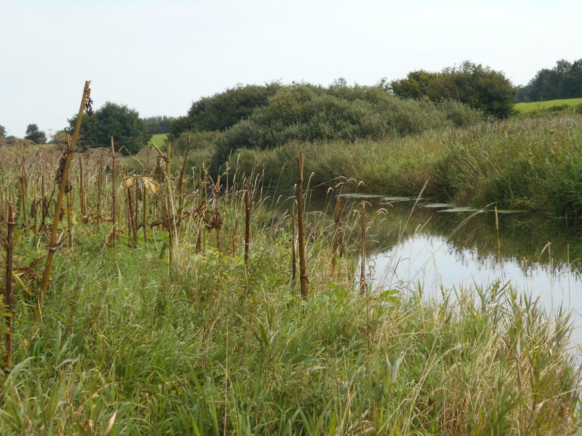 Fewo Fleckeby An Der Schlei Διαμέρισμα Εξωτερικό φωτογραφία